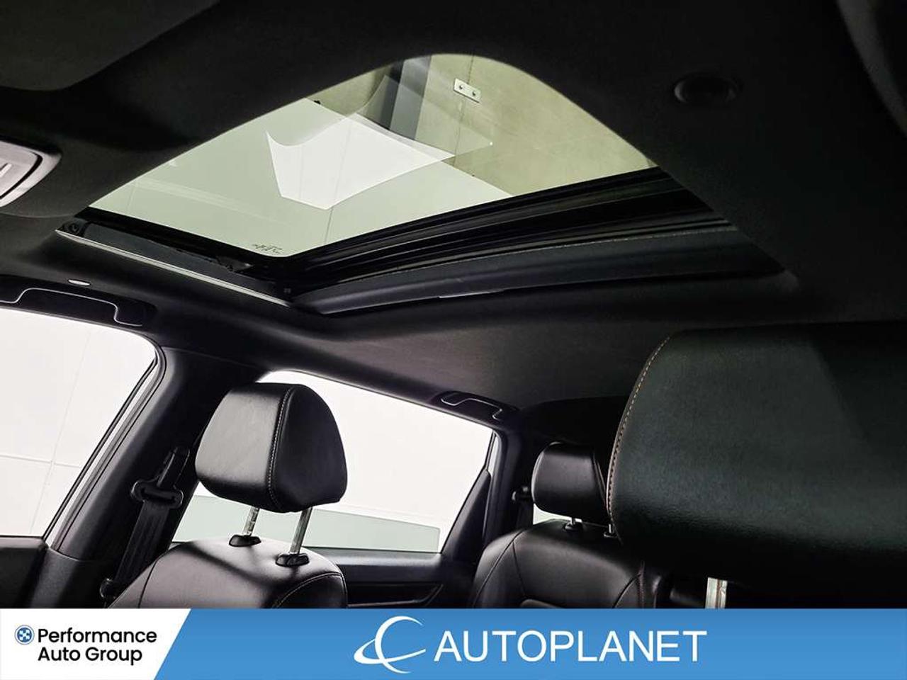 2024 Honda CR-V EX-L AWD, Honda Sensing, Sunroof, Remote Start! Photo