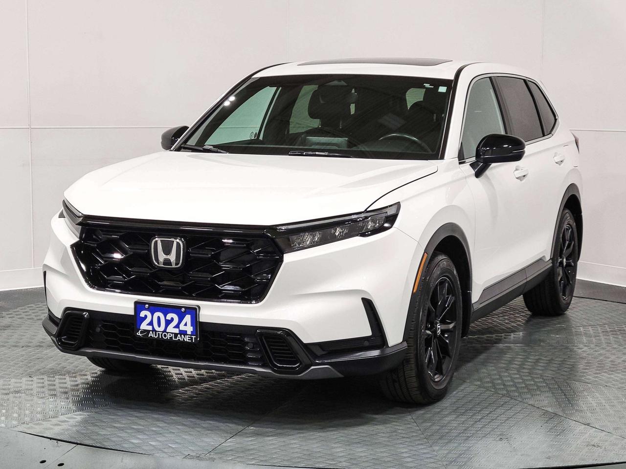 2024 Honda CR-V EX-L AWD, Honda Sensing, Sunroof, Remote Start! Photo