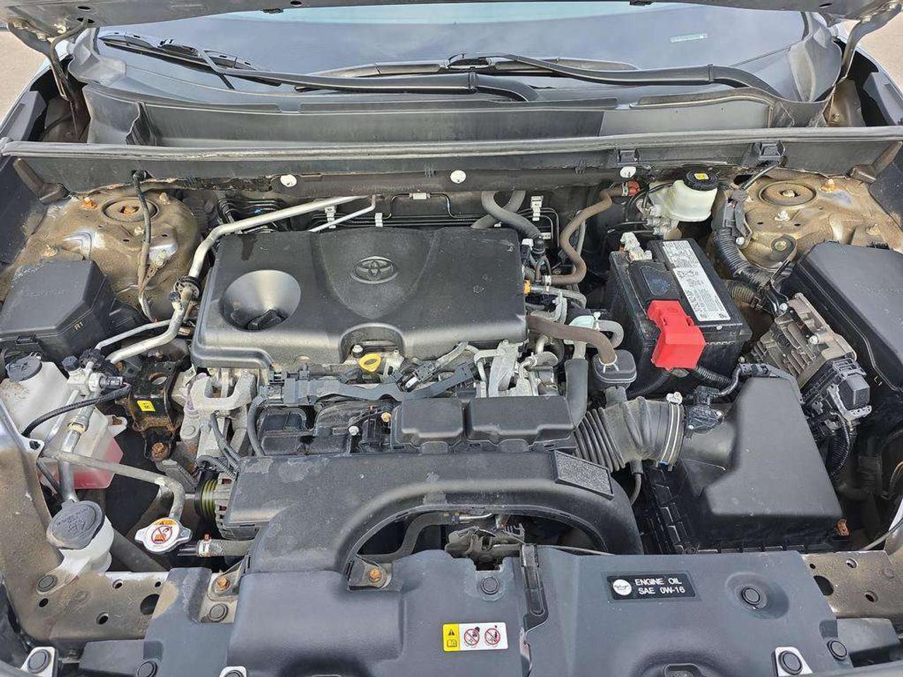 2020 Toyota RAV4 LE Photo