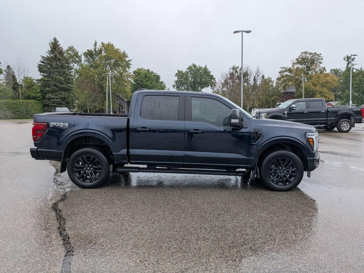 2025 Ford F-150  Photo