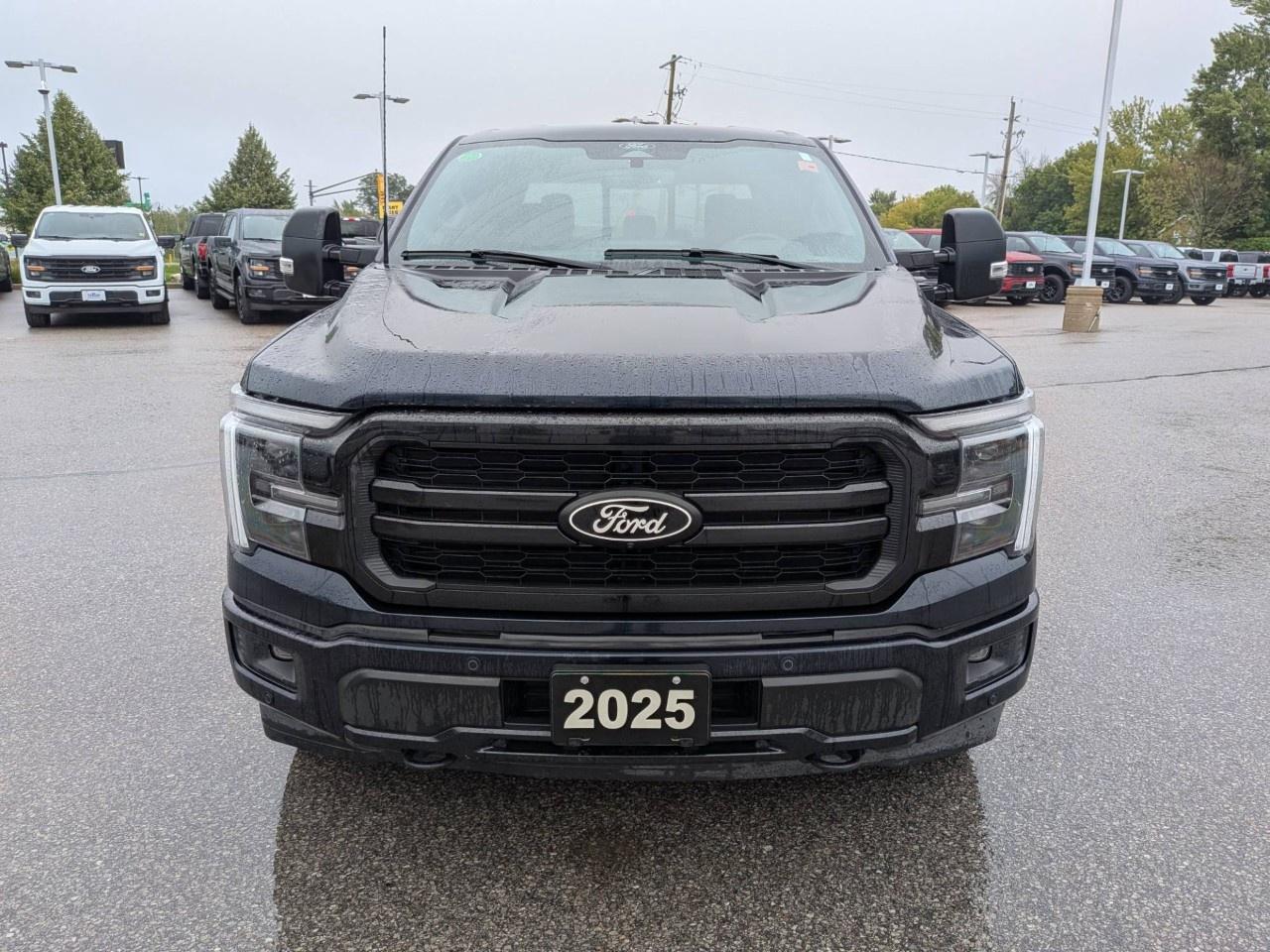 2025 Ford F-150  Photo