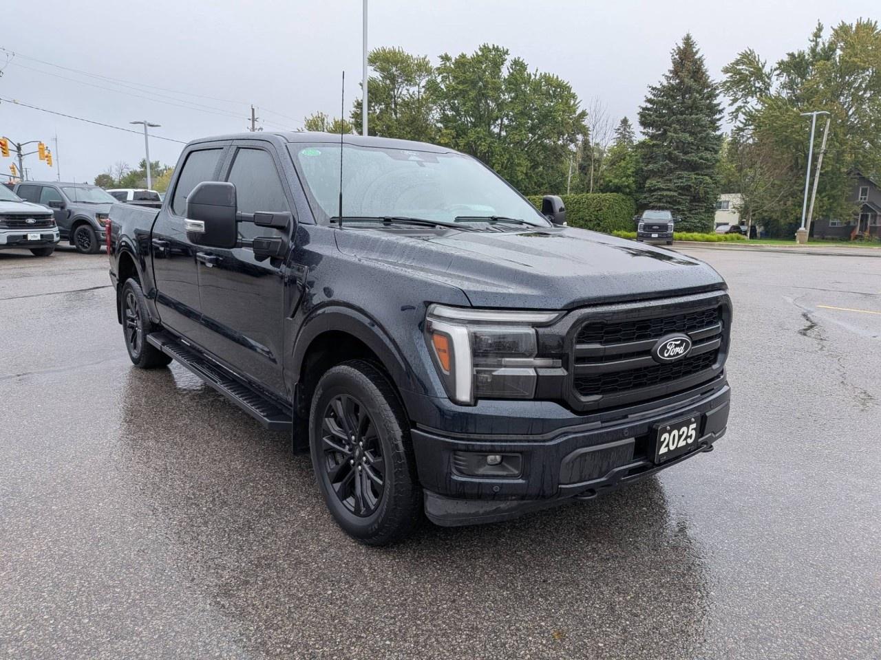 2025 Ford F-150  Photo