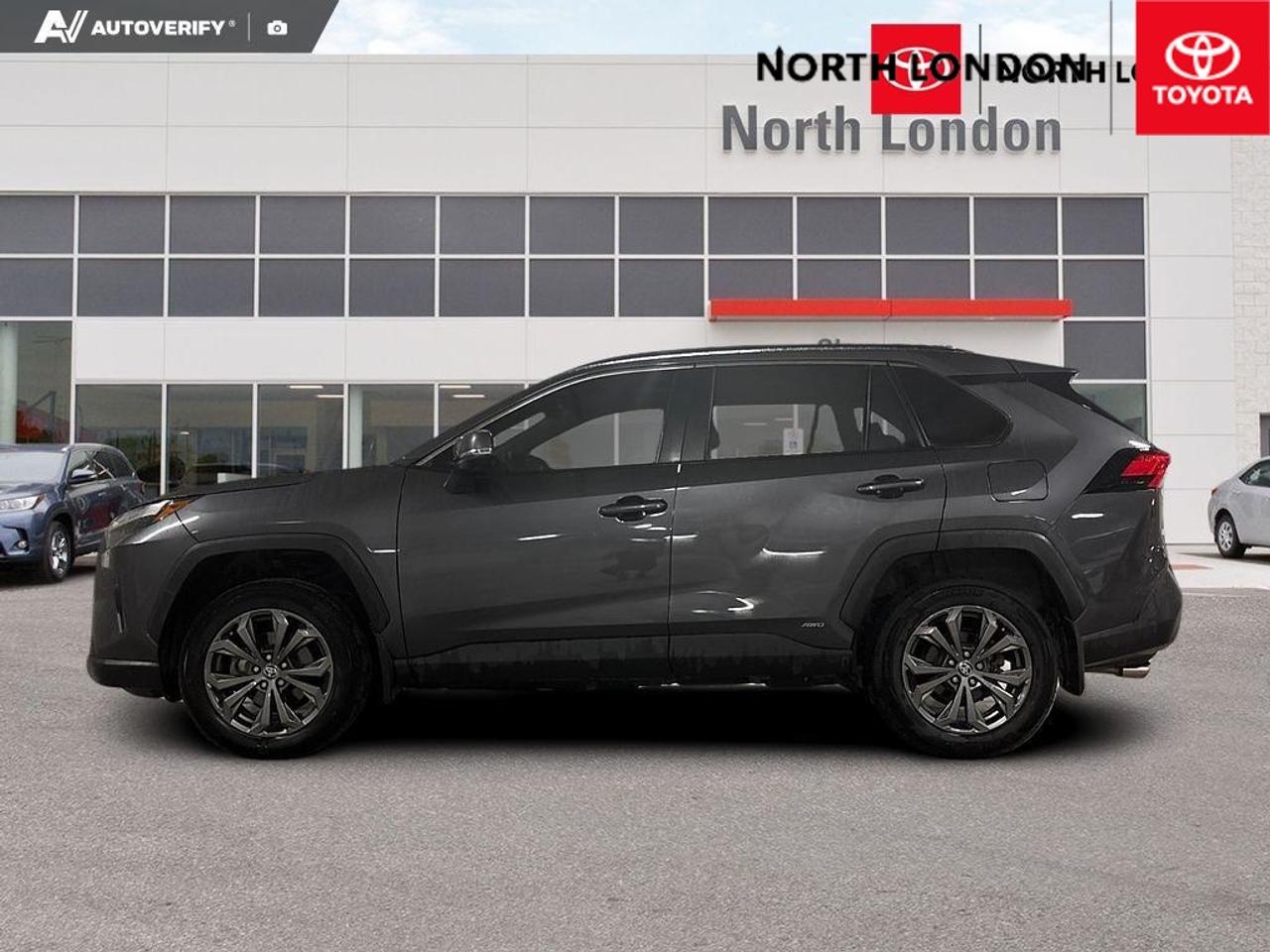 2024 Toyota RAV4 Hybrid XLE 4dr All-Wheel Drive Photo