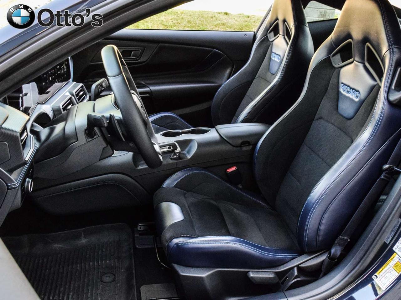 2024 Ford Mustang Dark Horse Fastback Photo
