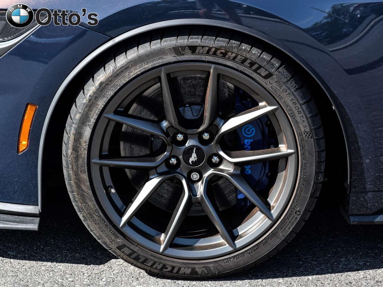 2024 Ford Mustang Dark Horse Fastback Photo