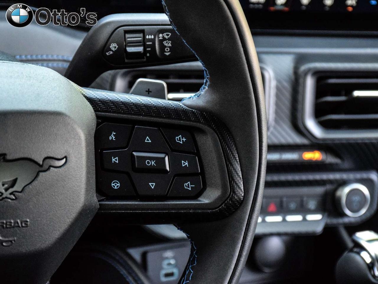 2024 Ford Mustang Dark Horse Fastback Photo