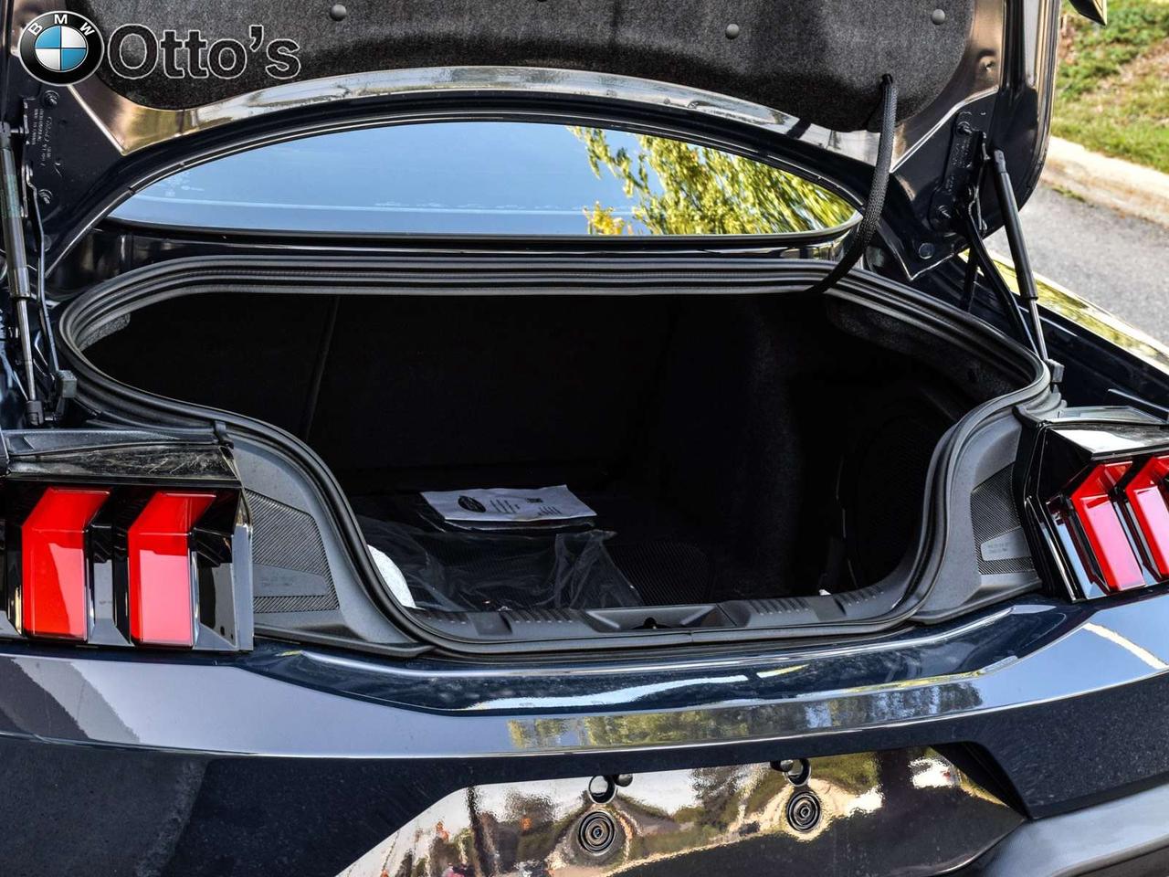 2024 Ford Mustang Dark Horse Fastback Photo