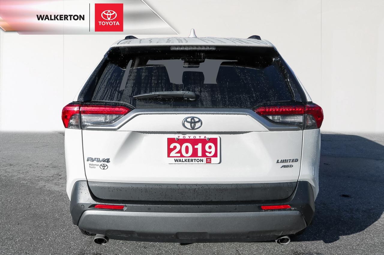 2019 Toyota RAV4 Limited 4dr All-wheel Drive Photo