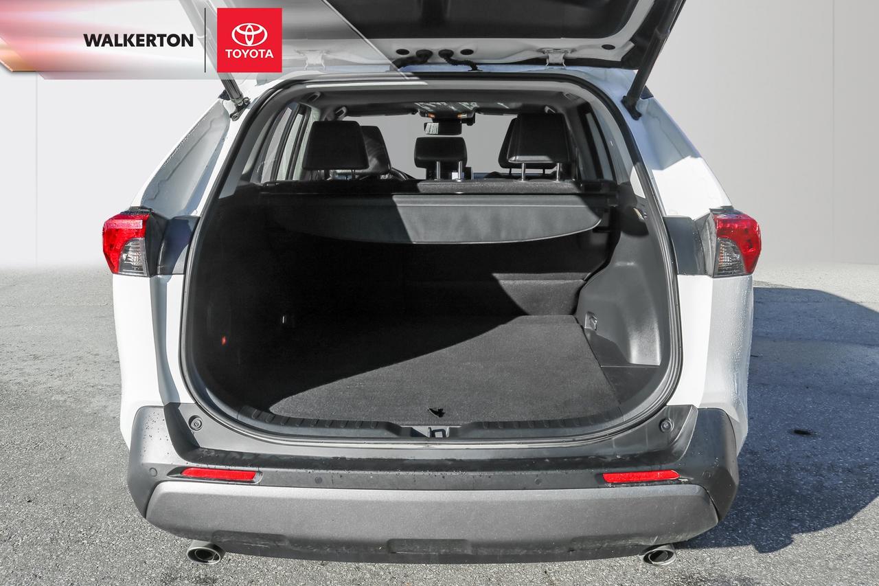 2019 Toyota RAV4 Limited 4dr All-wheel Drive Photo