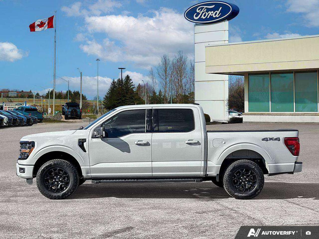 2024 Ford F-150 XLT   XLT BLK APP PKG   SKID PLATES Photo