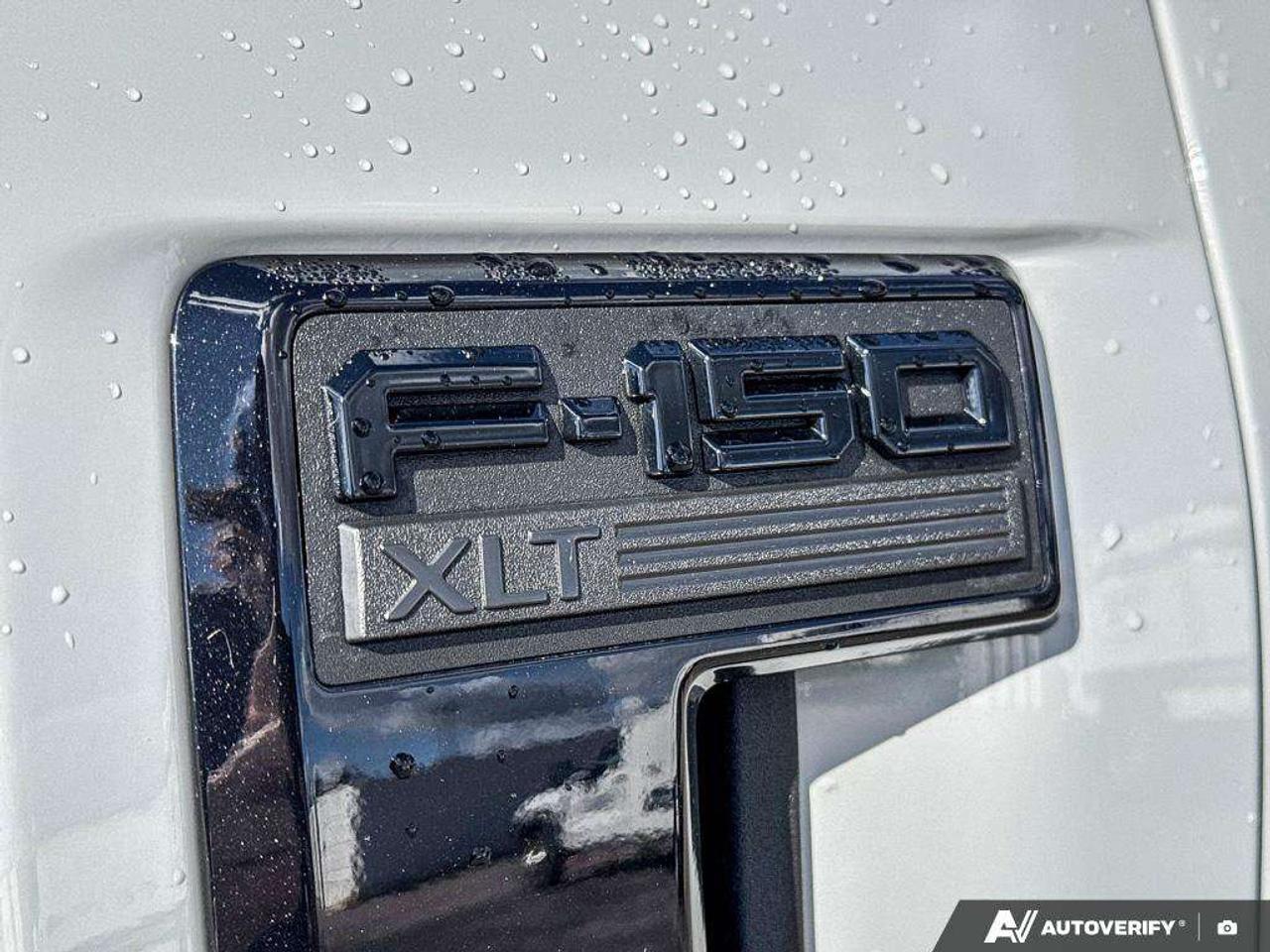 2024 Ford F-150 XLT   XLT BLK APP PKG   SKID PLATES Photo
