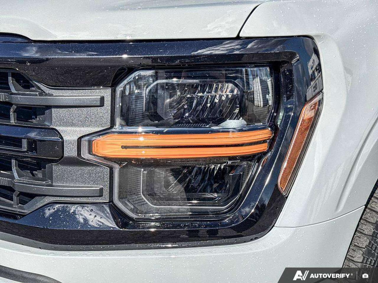 2024 Ford F-150 XLT   XLT BLK APP PKG   SKID PLATES Photo