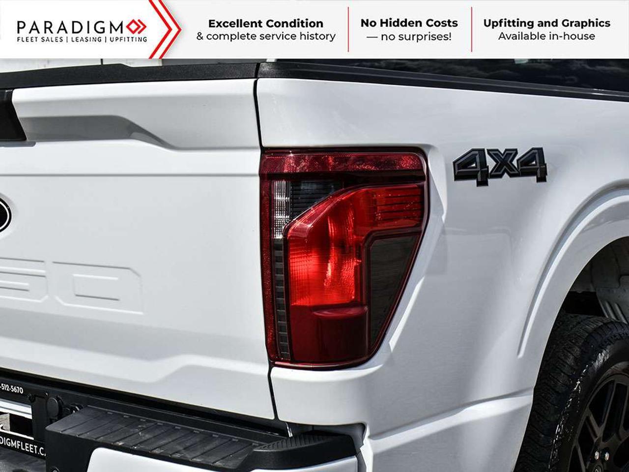 2025 Ford F-150 STX Photo