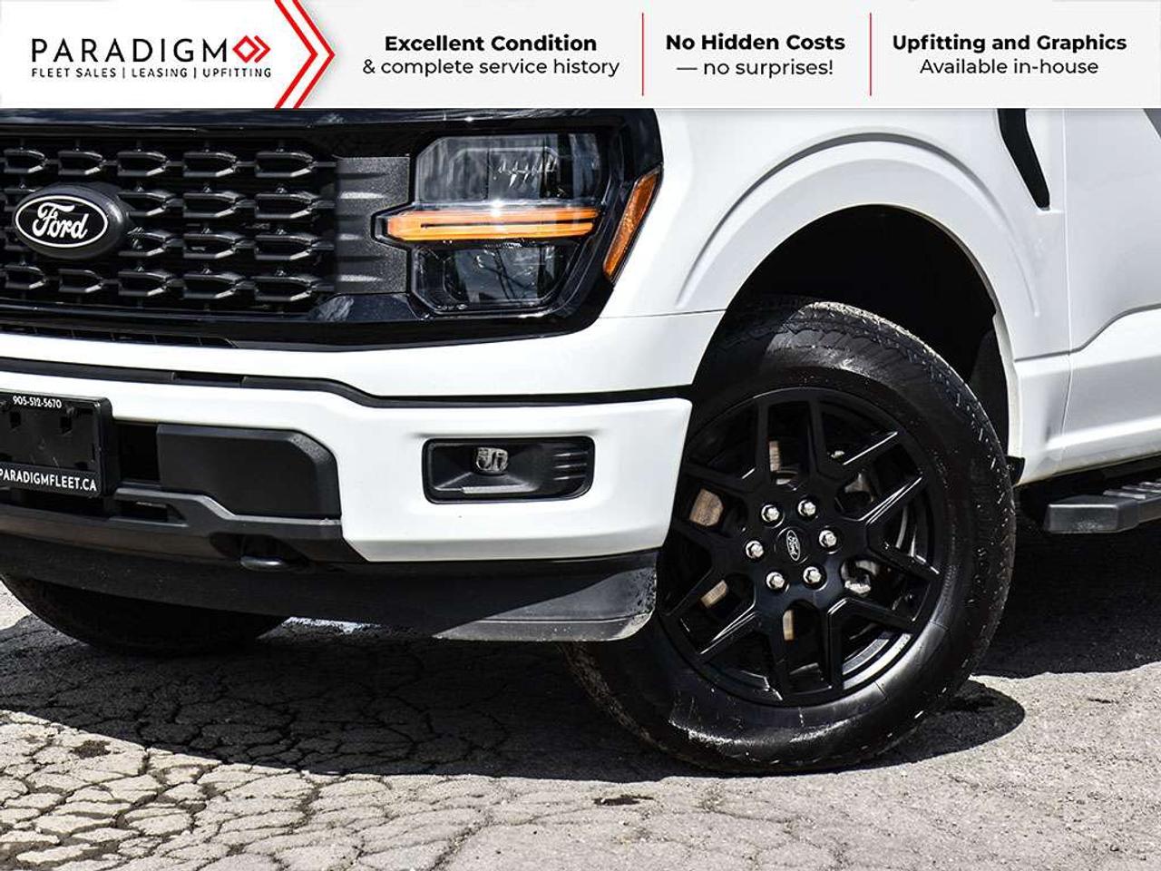2025 Ford F-150 STX Photo