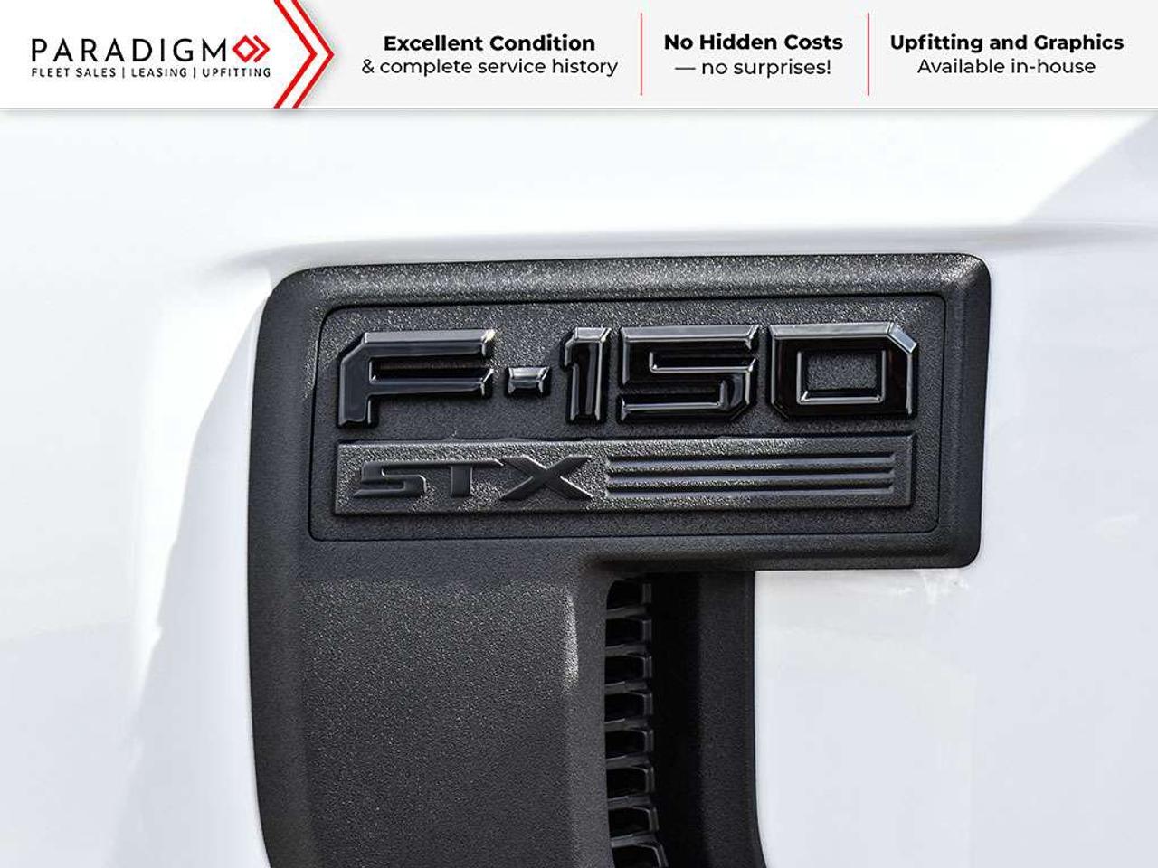 2025 Ford F-150 STX Photo