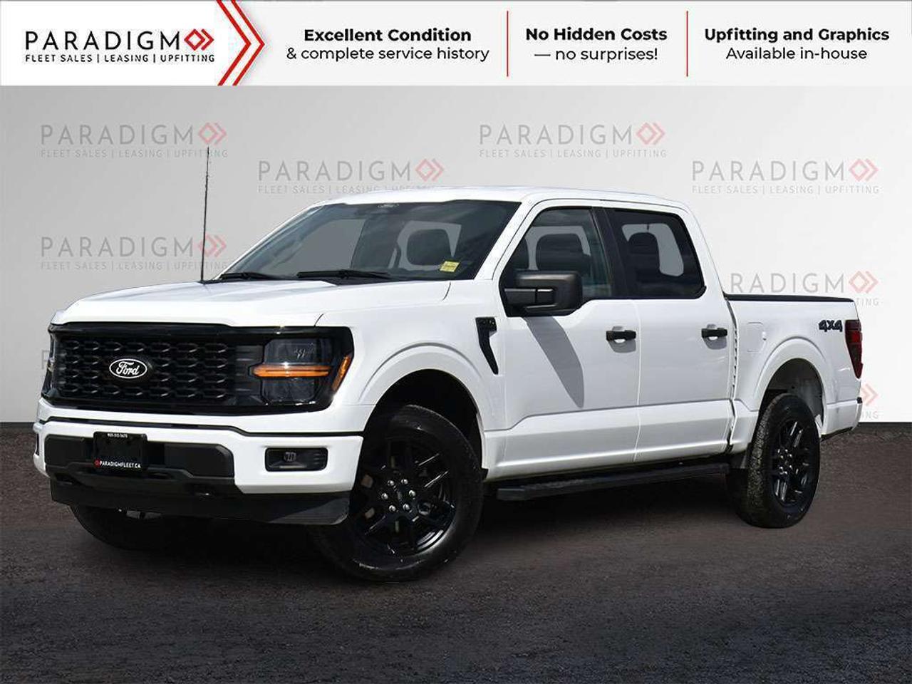 2025 Ford F-150 STX Photo