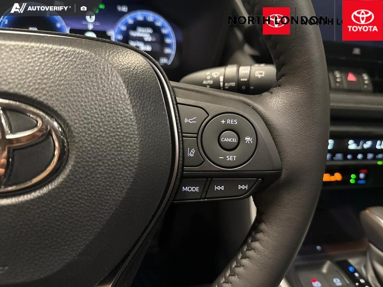 2025 Toyota RAV4 Limited 4dr All-wheel Drive Photo