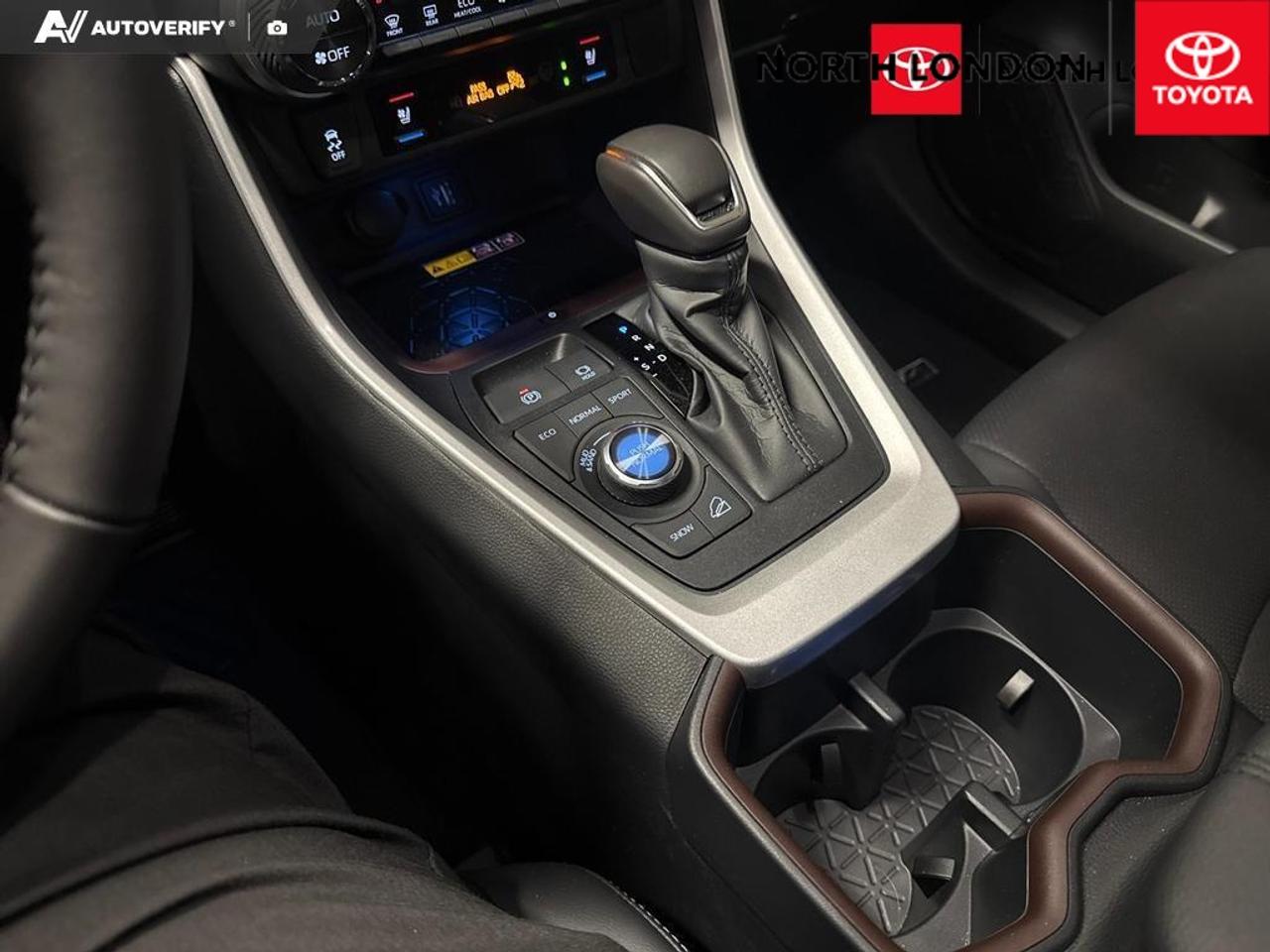 2025 Toyota RAV4 Limited 4dr All-wheel Drive Photo