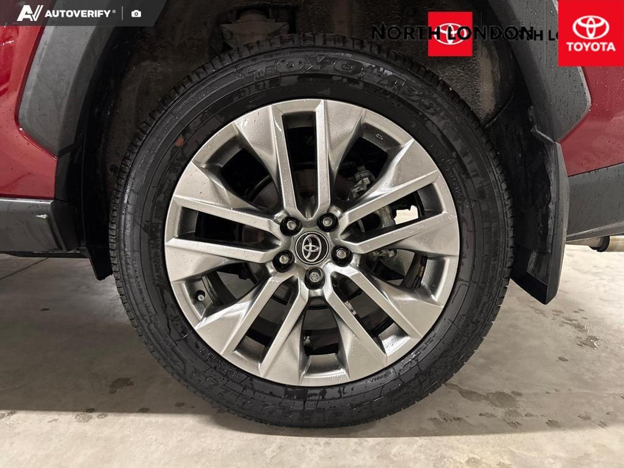 2025 Toyota RAV4 Limited 4dr All-wheel Drive Photo