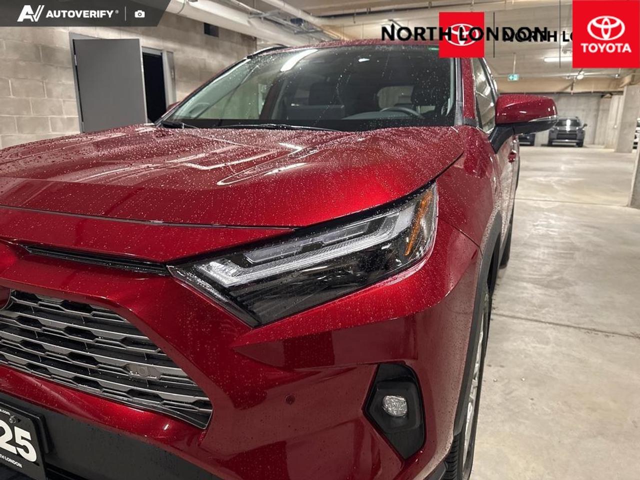 2025 Toyota RAV4 Limited 4dr All-wheel Drive Photo