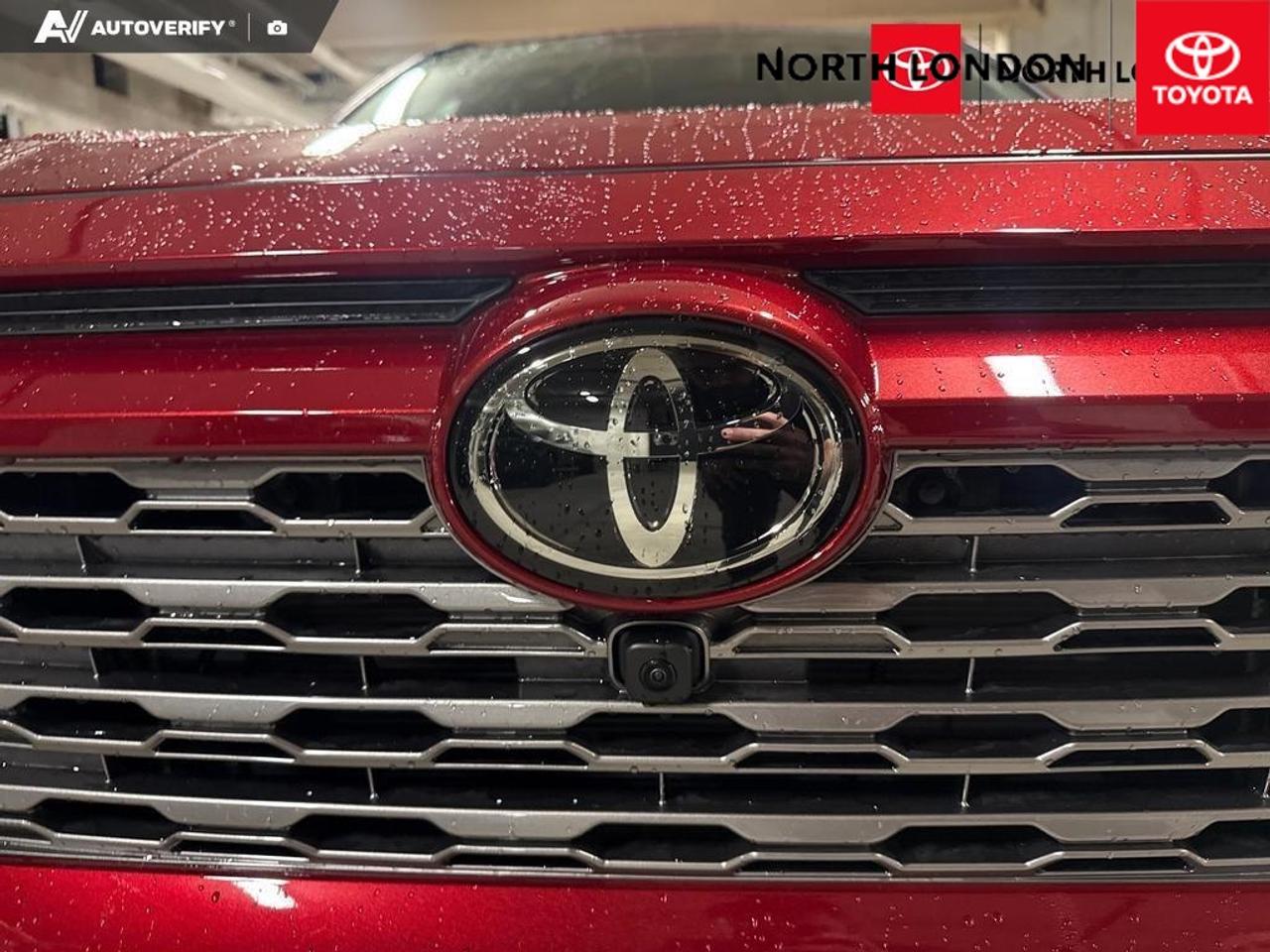 2025 Toyota RAV4 Limited 4dr All-wheel Drive Photo