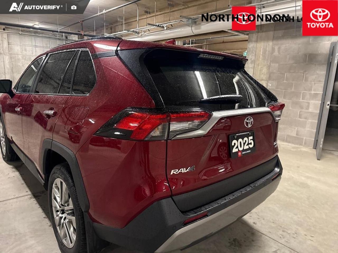 2025 Toyota RAV4 Limited 4dr All-wheel Drive Photo