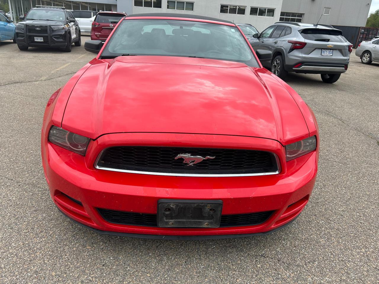 2013 Ford Mustang V6 Premium 2dr Convertible Photo