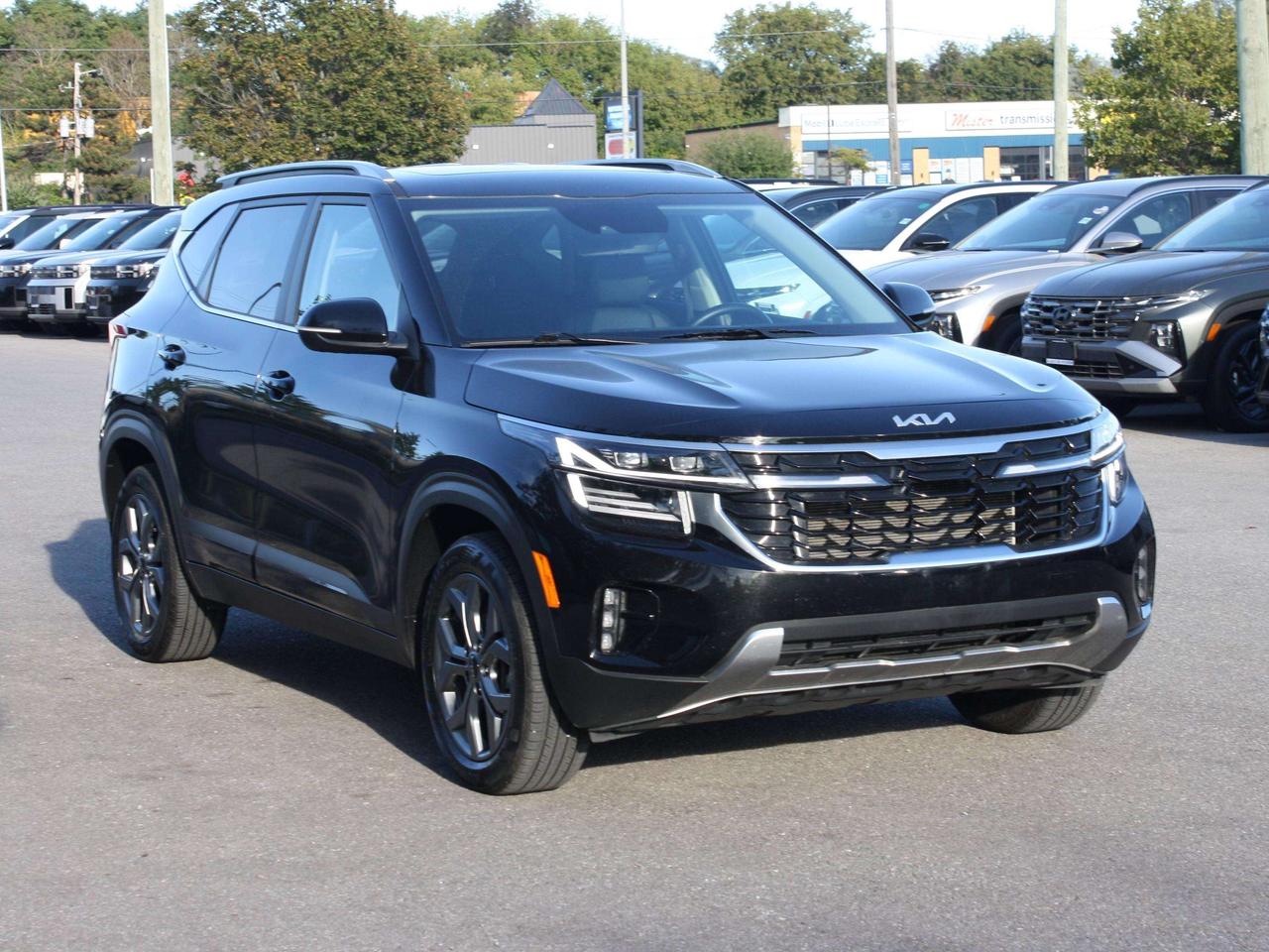2025 Kia Seltos EX Photo