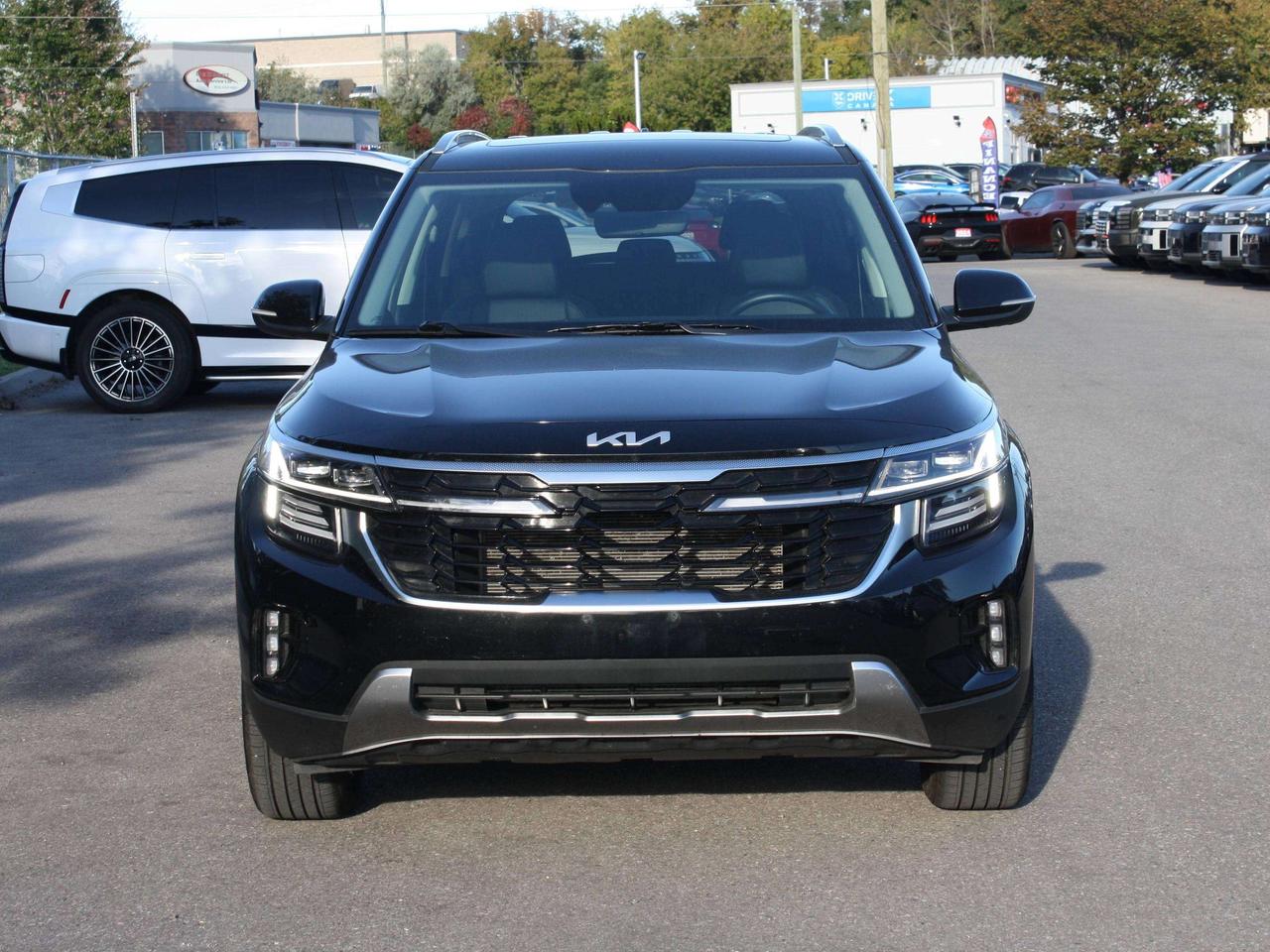 2025 Kia Seltos EX Photo5
