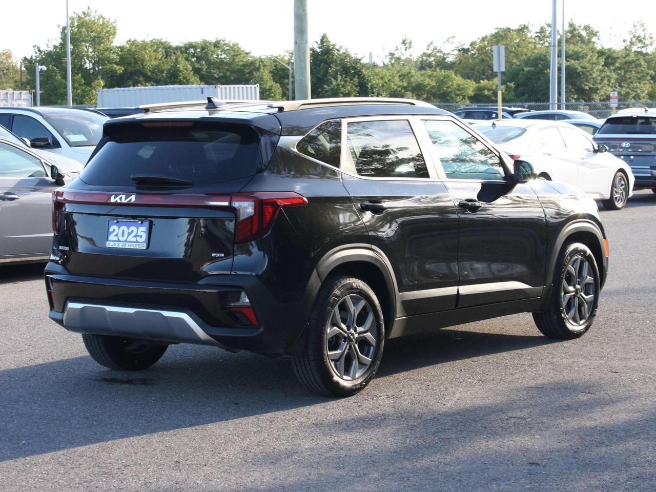 2025 Kia Seltos EX Photo