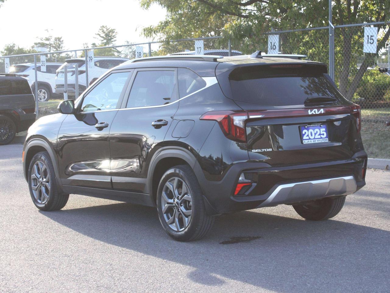2025 Kia Seltos EX Photo