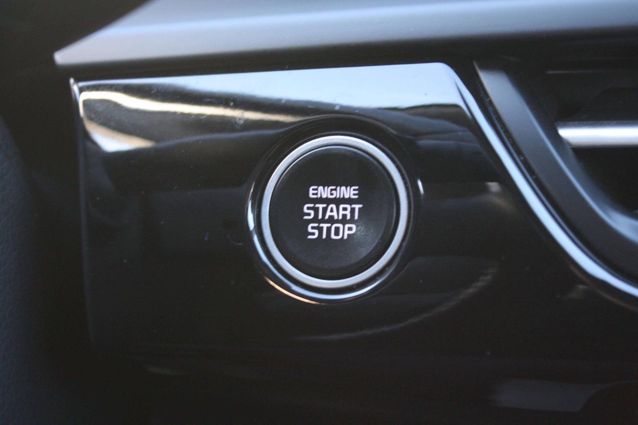 2025 Kia Seltos EX Photo