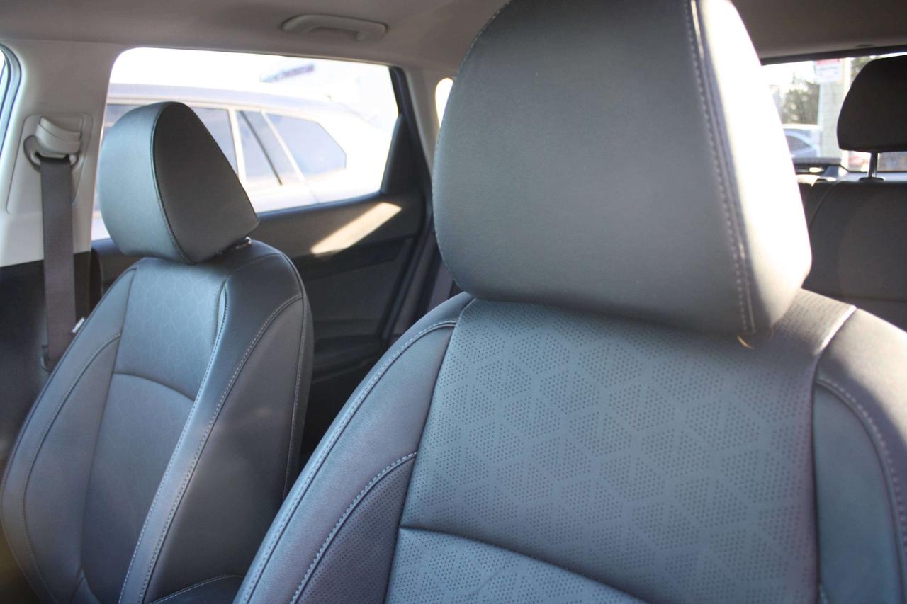2025 Kia Seltos EX Photo