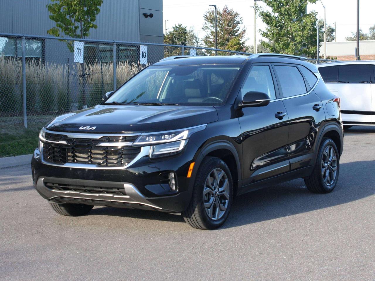 2025 Kia Seltos EX Photo