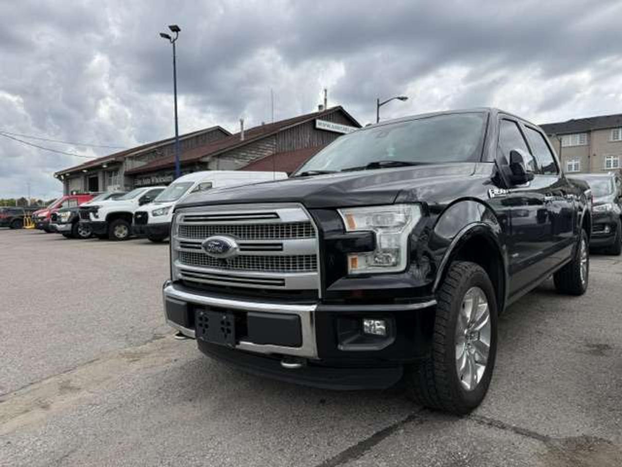 2016 Ford F-150 Platinum Photo