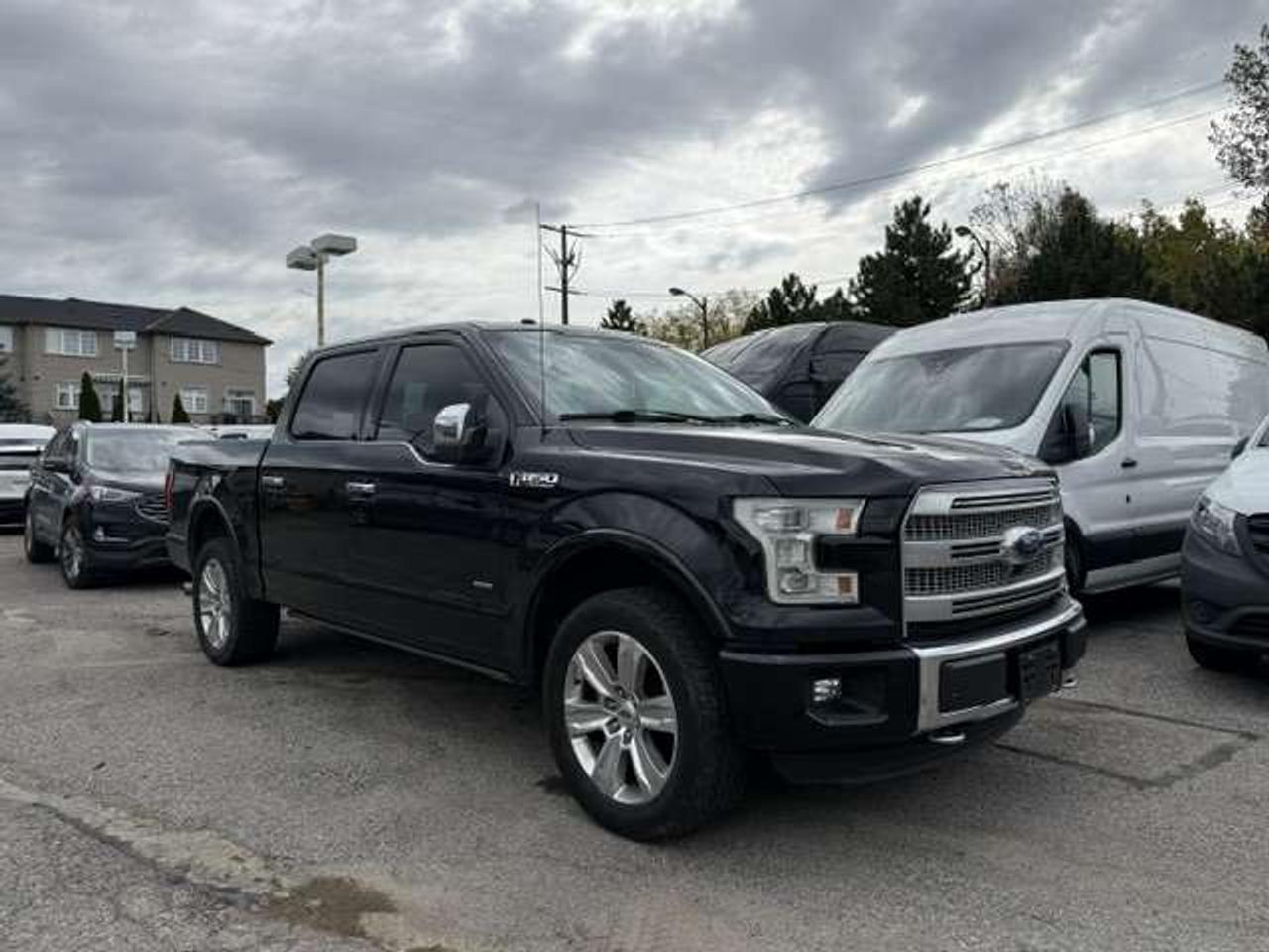 2016 Ford F-150 Platinum Photo5
