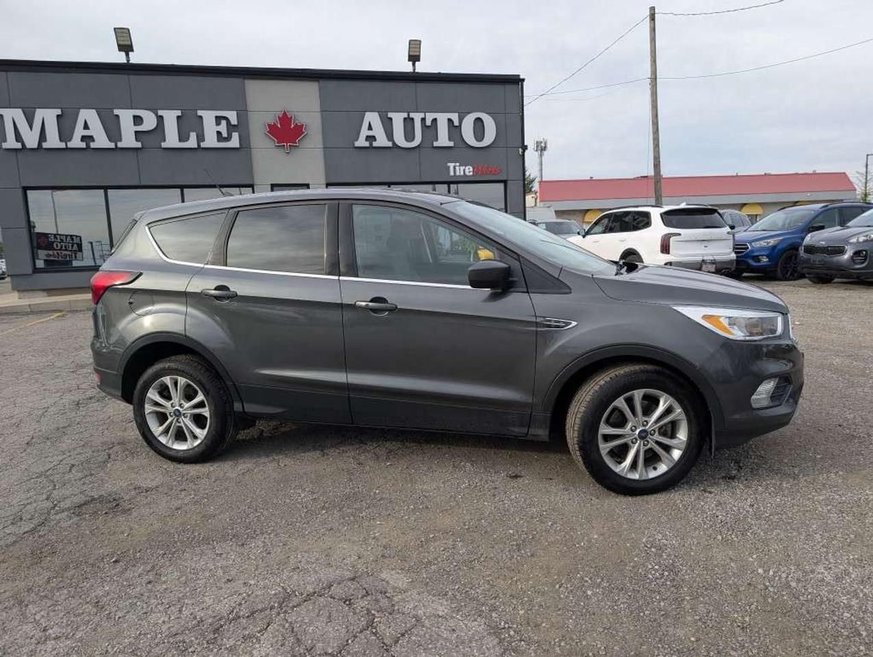 2019 Ford Escape SE 4WD   CAMERA   HTD SEATS   BLUETOOTH Photo