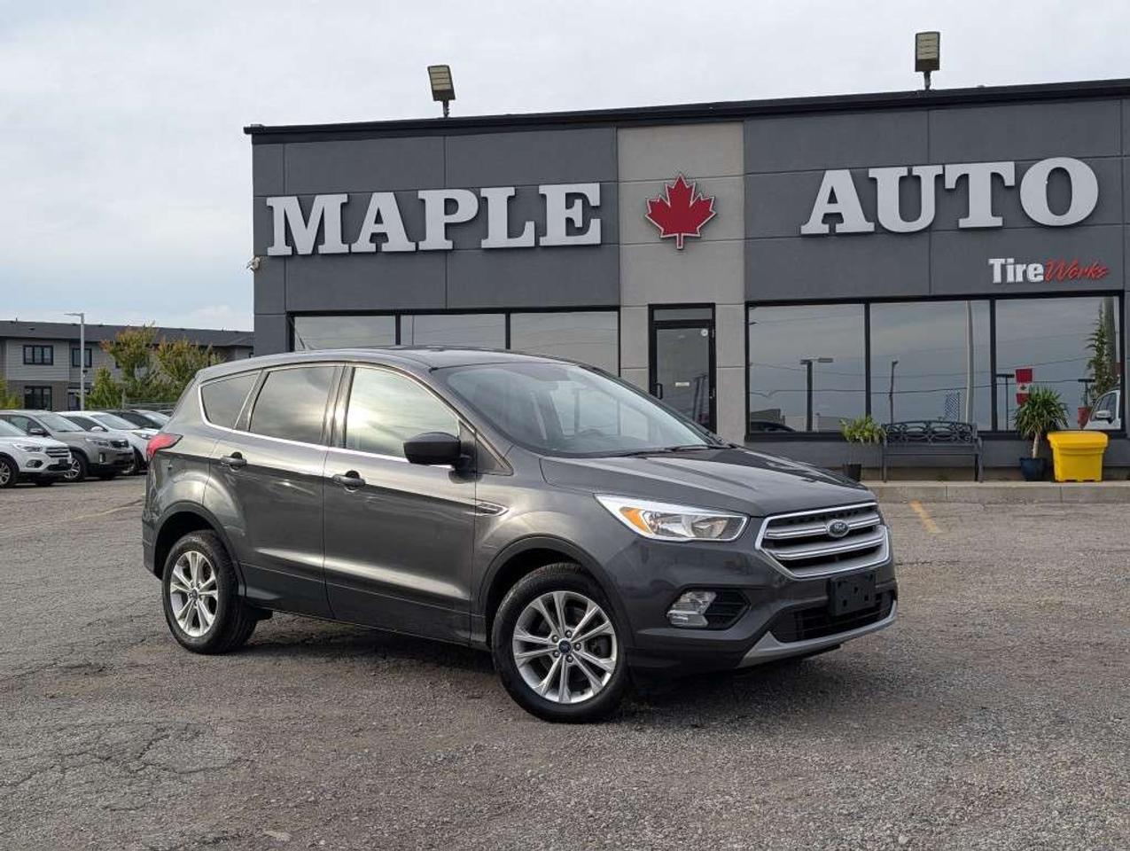 2019 Ford Escape SE 4WD   CAMERA   HTD SEATS   BLUETOOTH Photo