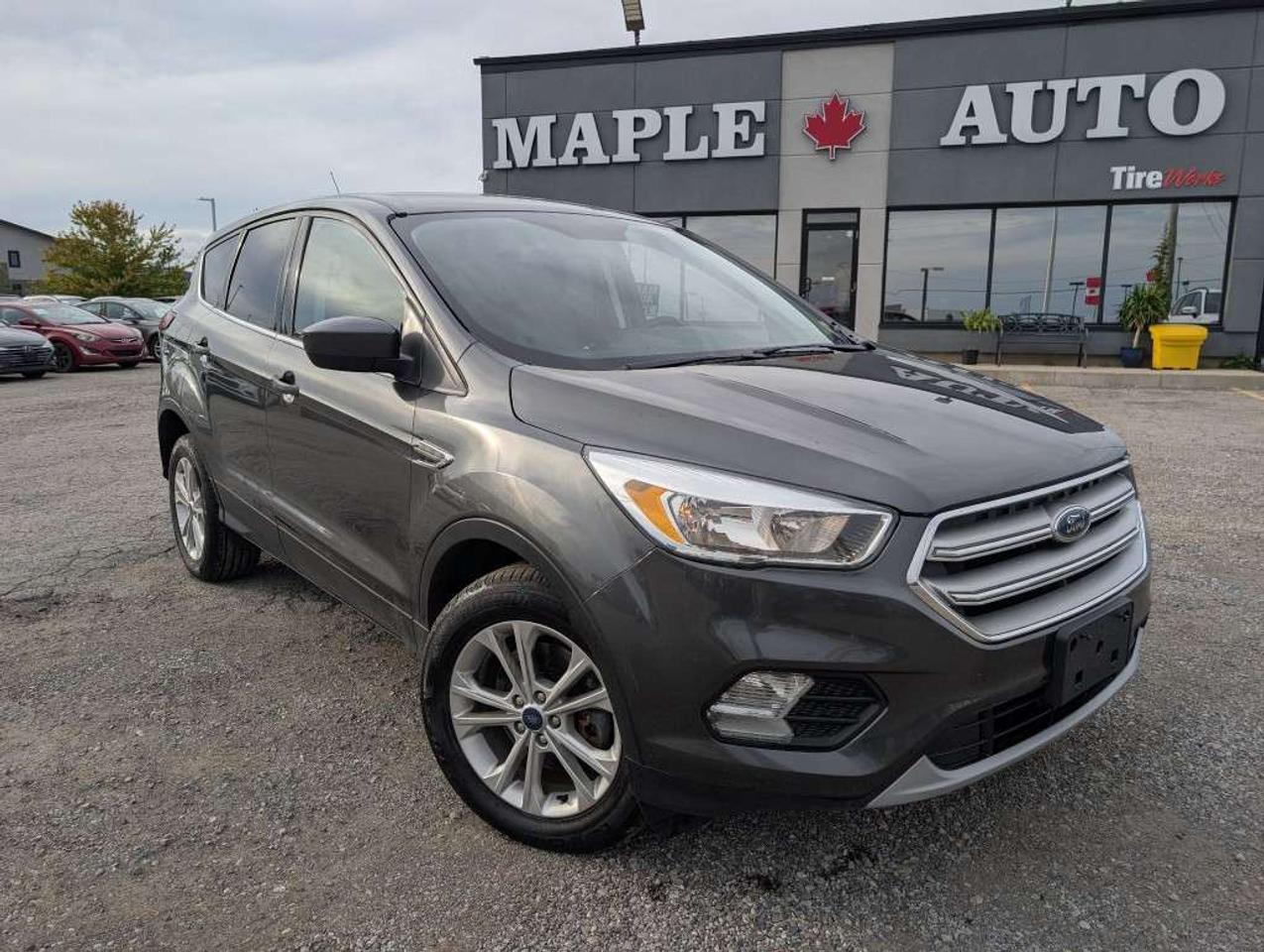 2019 Ford Escape SE 4WD   CAMERA   HTD SEATS   BLUETOOTH Photo