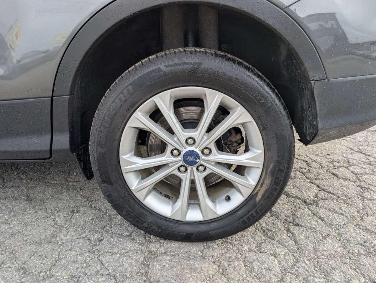 2019 Ford Escape SE 4WD   CAMERA   HTD SEATS   BLUETOOTH Photo