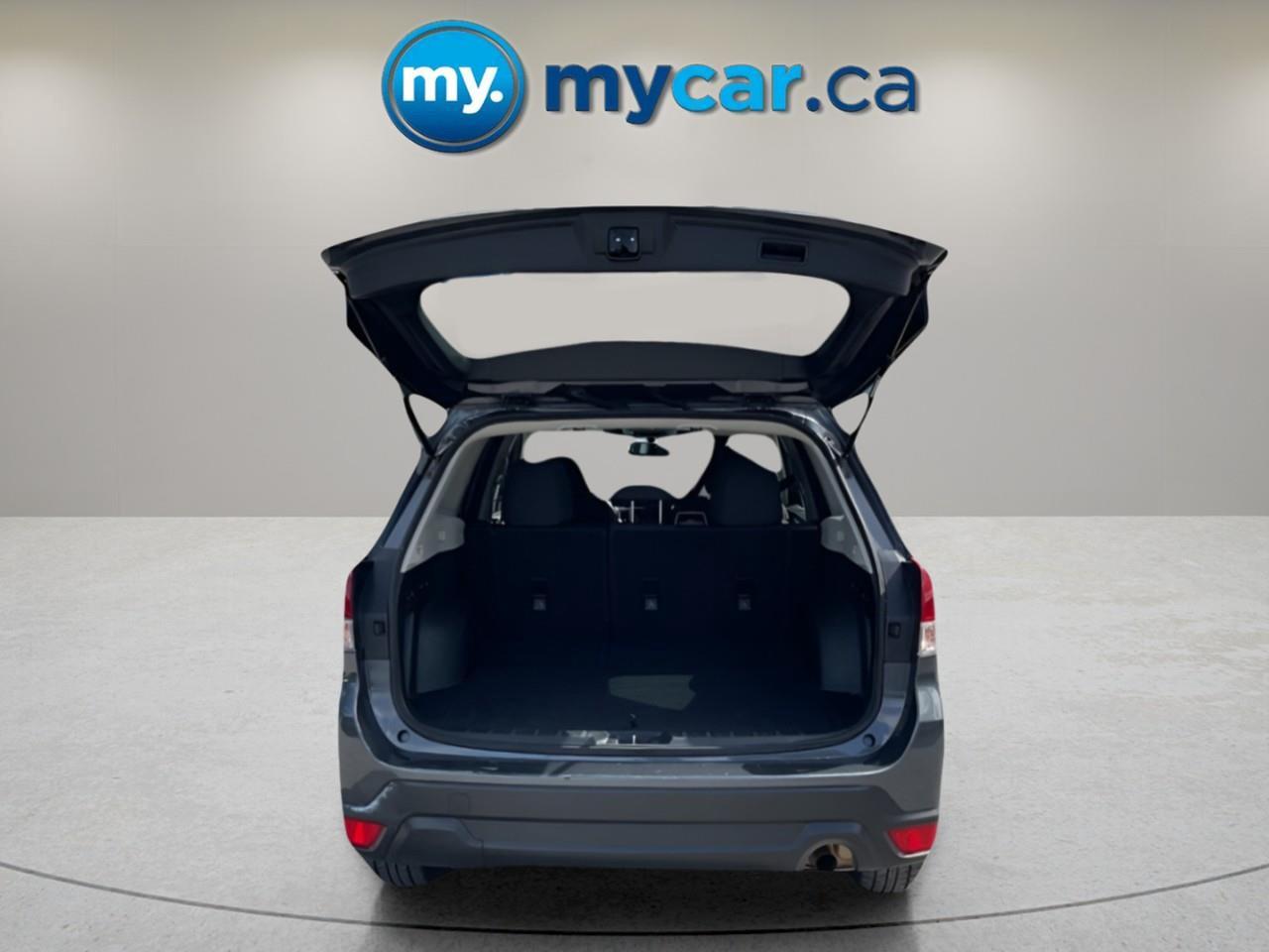 2024 Subaru Forester Base 4dr All-Wheel Drive Photo