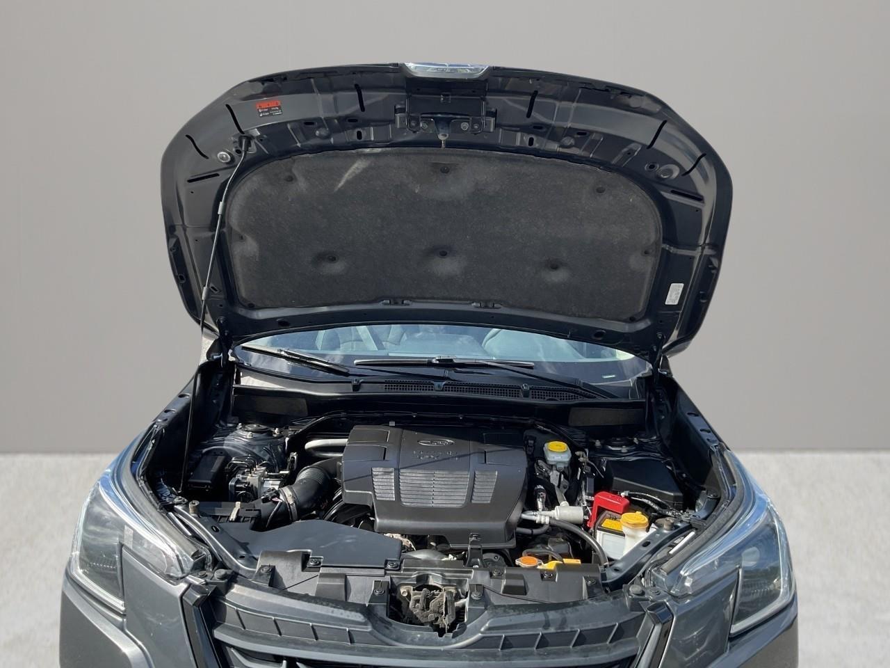 2024 Subaru Forester Base 4dr All-Wheel Drive Photo