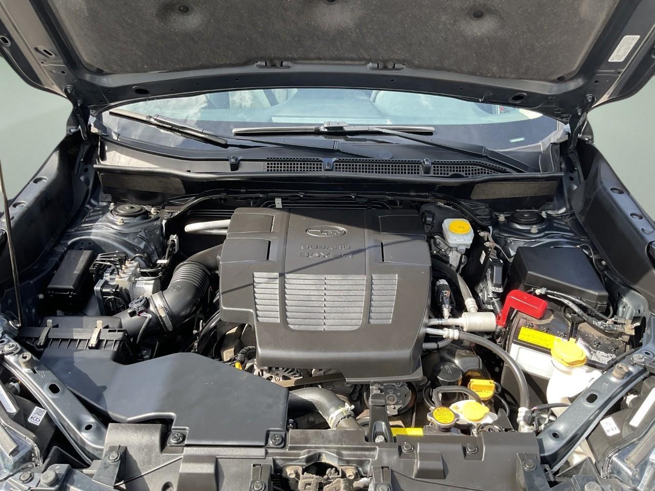 2024 Subaru Forester Base 4dr All-Wheel Drive Photo