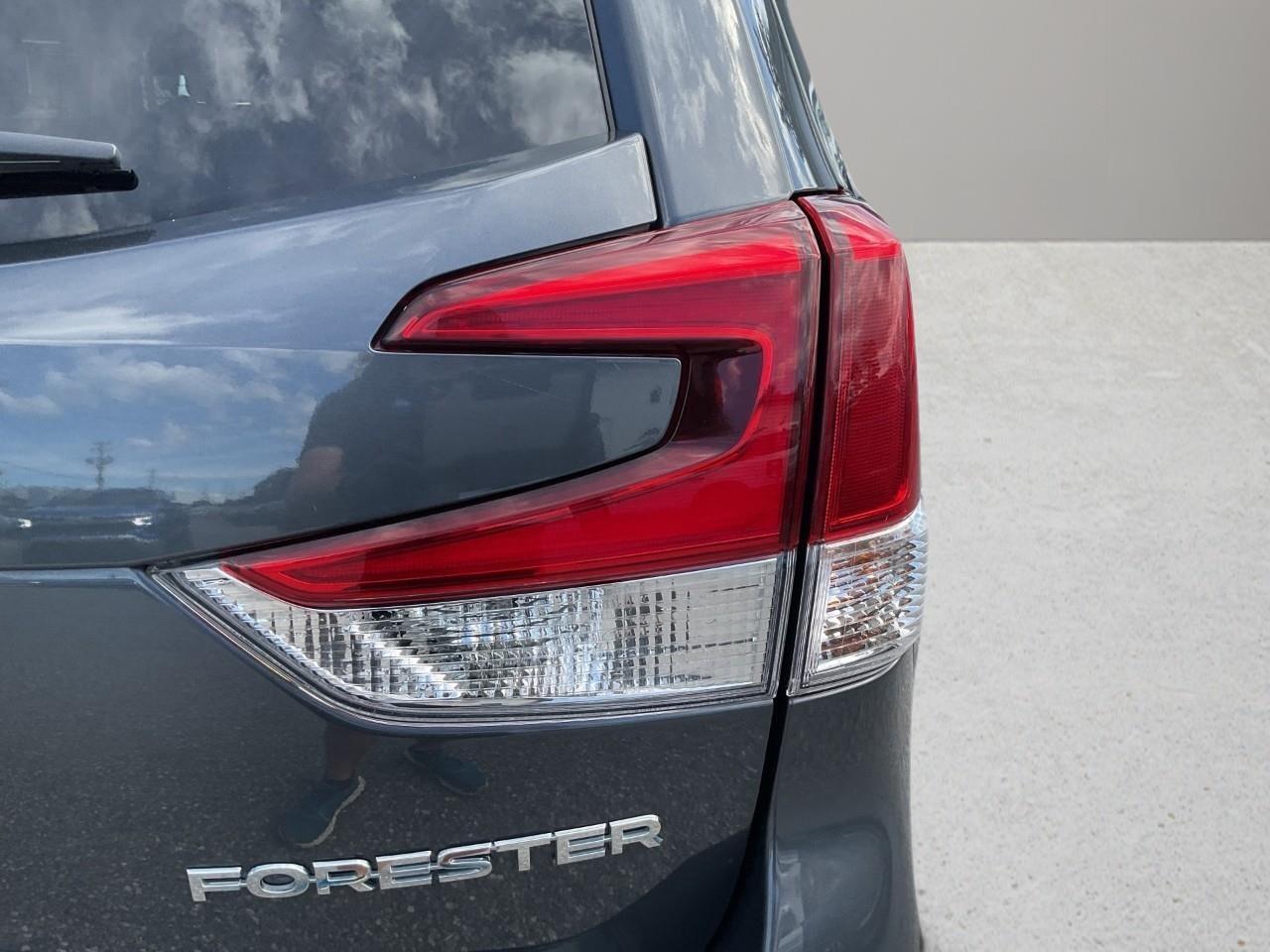 2024 Subaru Forester Base 4dr All-Wheel Drive Photo