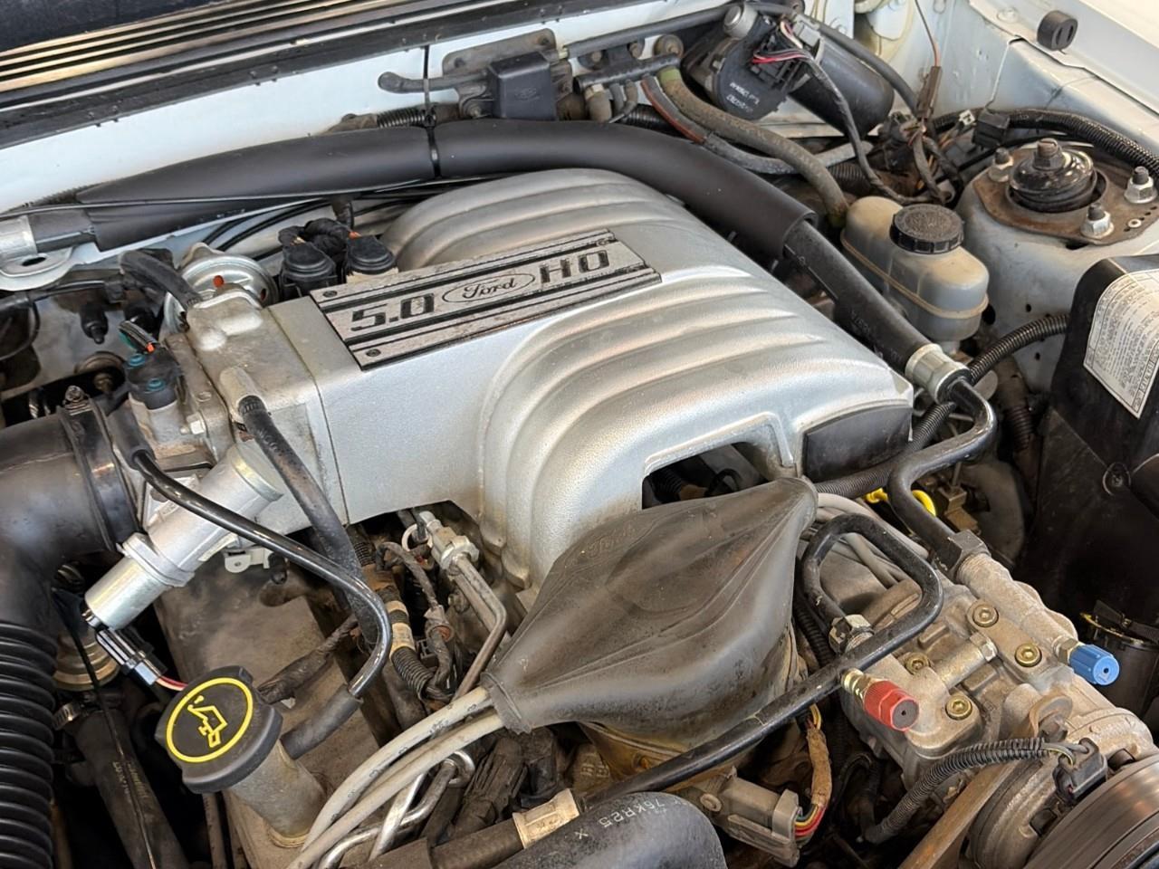 1988 Ford Mustang  Photo