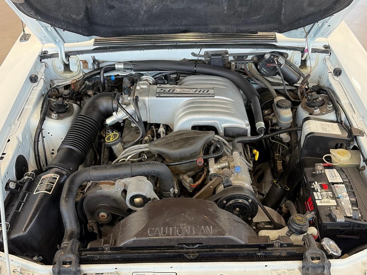1988 Ford Mustang  Photo