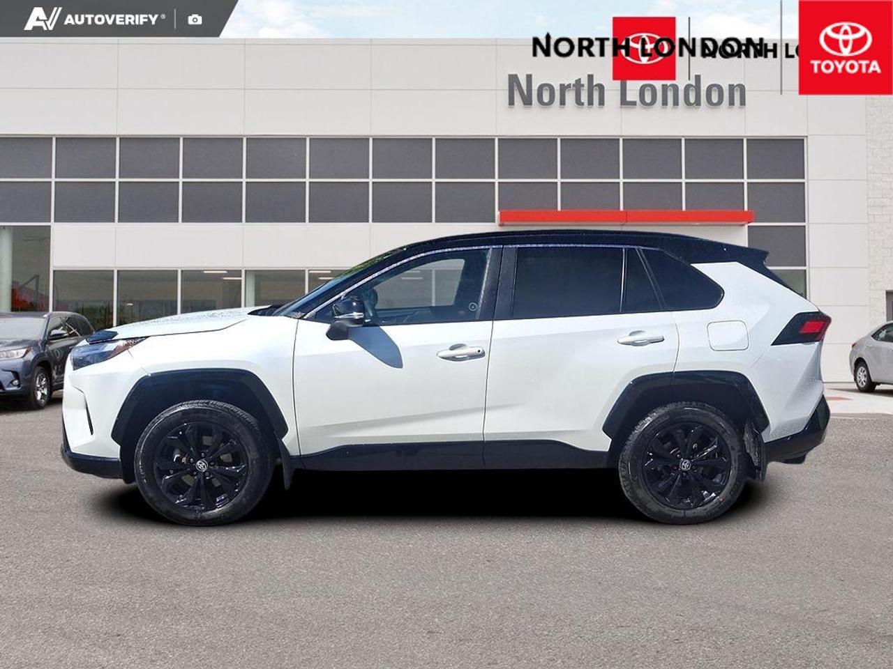2023 Toyota RAV4 Hybrid XSE 4dr All-Wheel Drive Photo