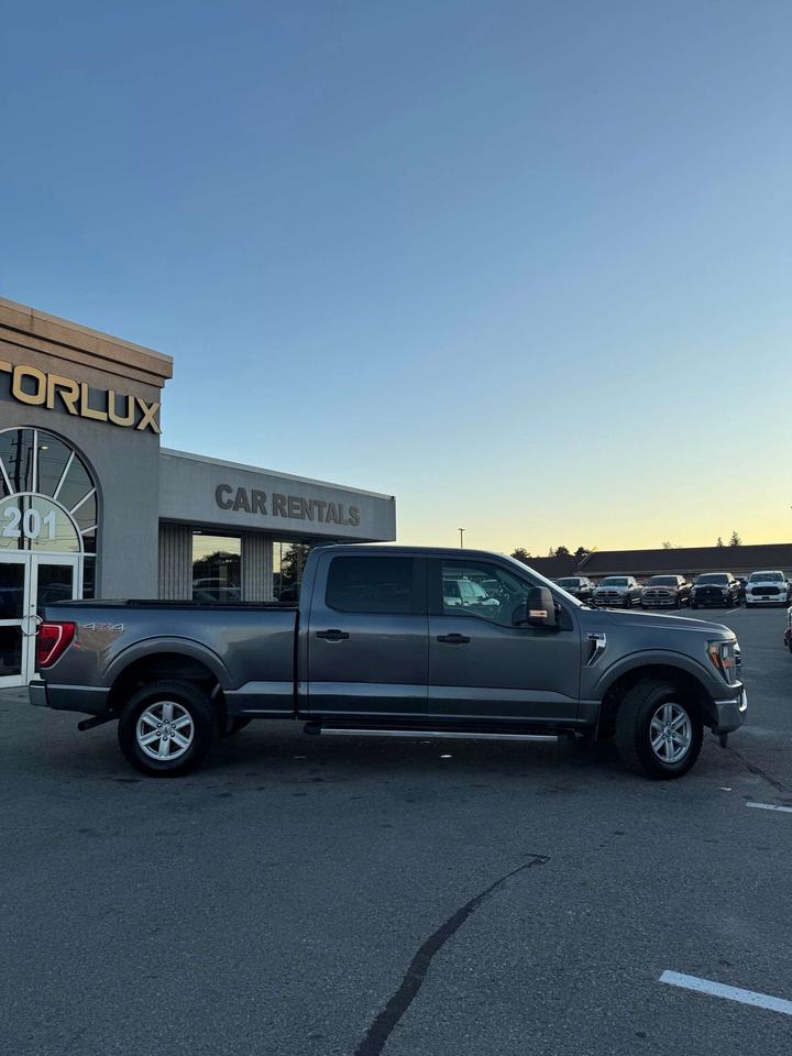 2023 Ford F-150 XL 4WD SUPERCREW 6.5' BOX Photo