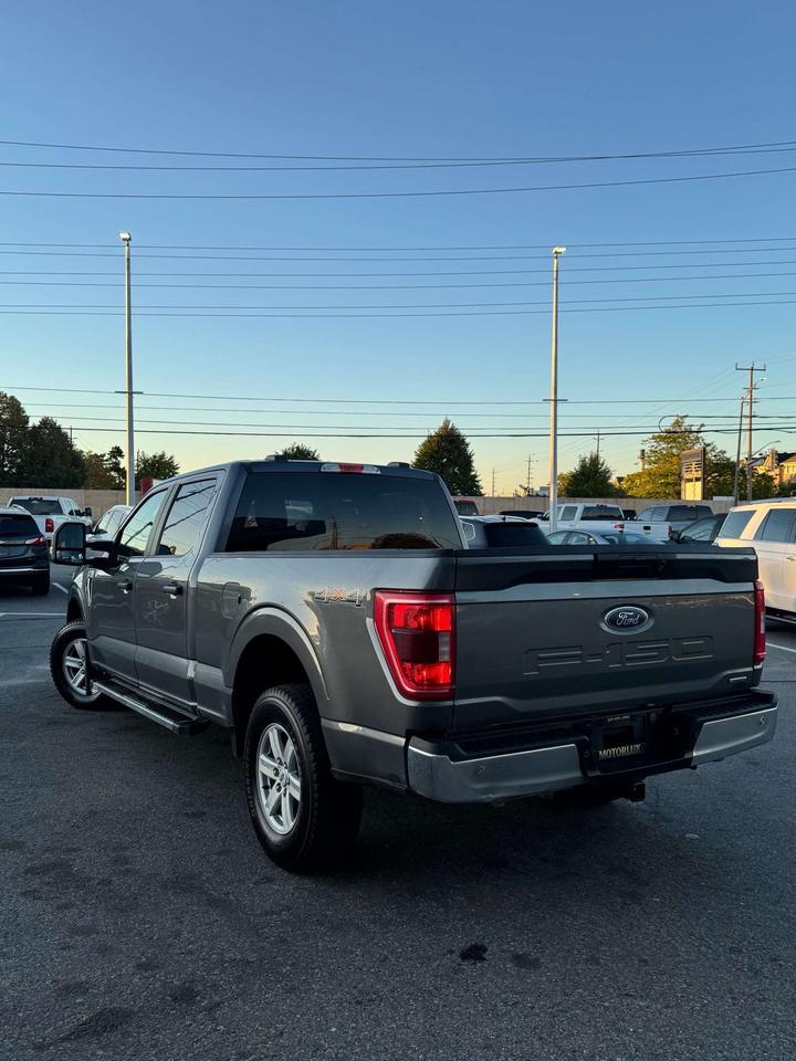 2023 Ford F-150 XL 4WD SUPERCREW 6.5' BOX Photo