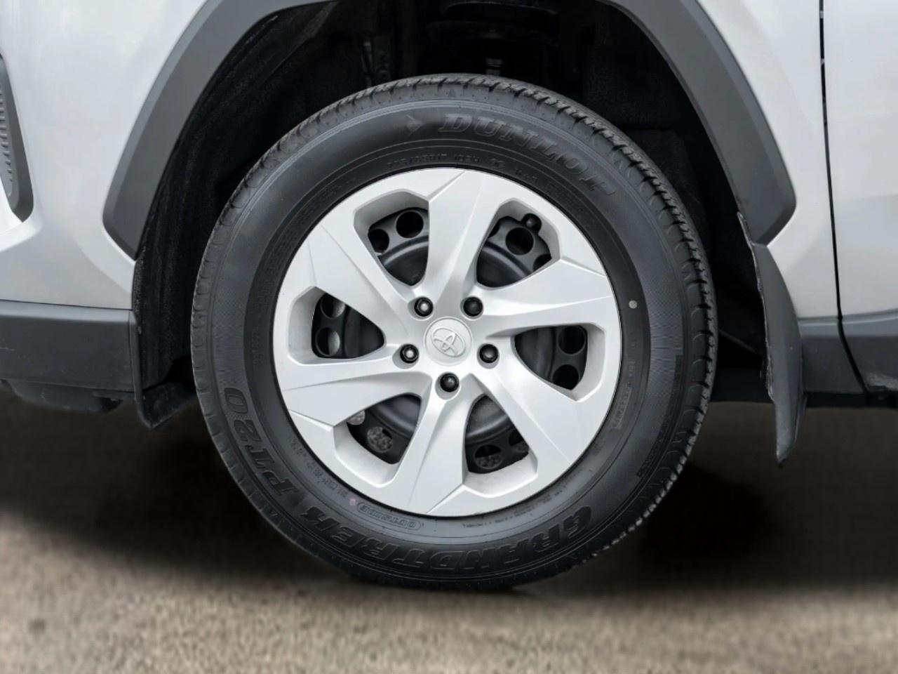 2025 Toyota RAV4 LE AWD Photo
